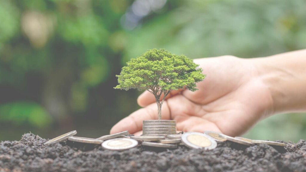 Cómo hacer una donación económica a Fontes del Porcía