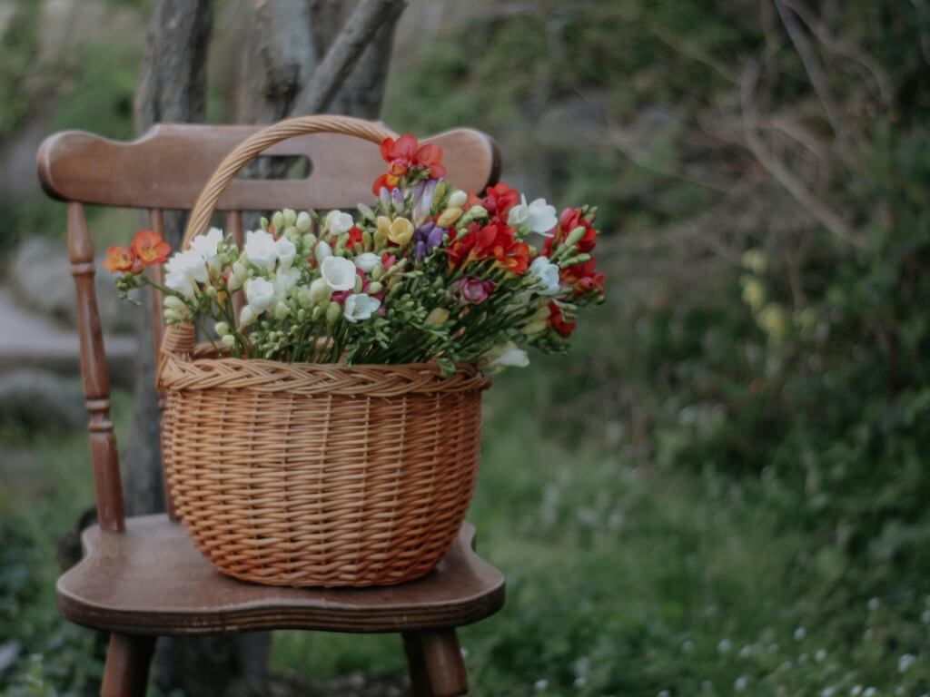 Expositores confirmados en la I Feria de Jardinería del Occidente de Asturias (3)