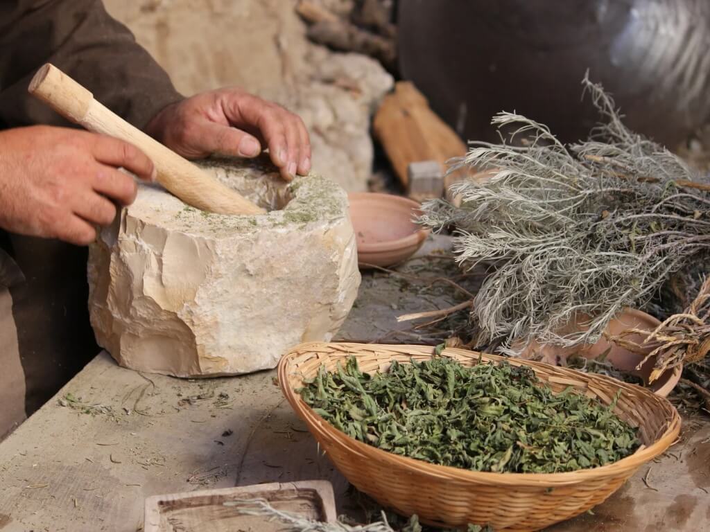 Expositores confirmados en la I Feria de Jardinería del Occidente de Asturias (6)