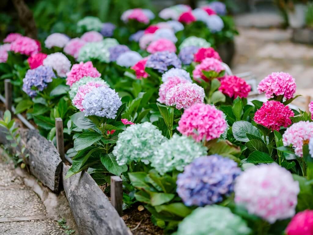 Expositores confirmados en la I Feria de Jardinería del Occidente de Asturias (8)